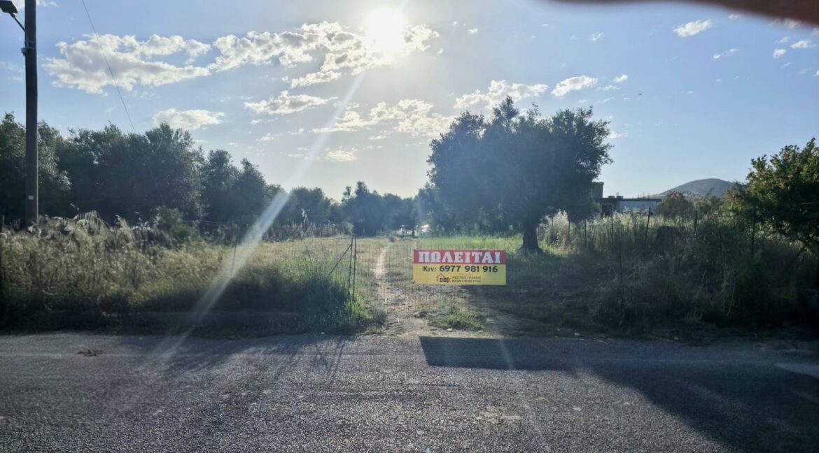 εικόνα_Viber_2026-05-13_18-51-25-188