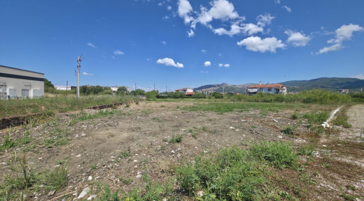 εικόνα_Viber_2026-05-25_12-23-44-722