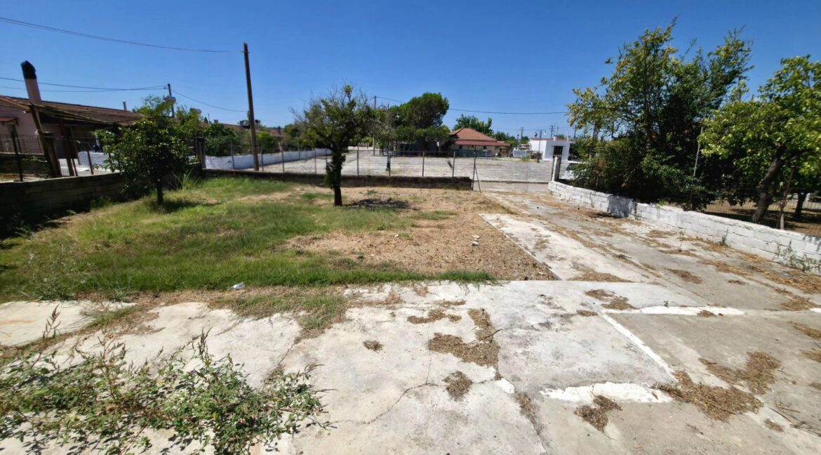 εικόνα_Viber_2026-08-03_19-42-11-838