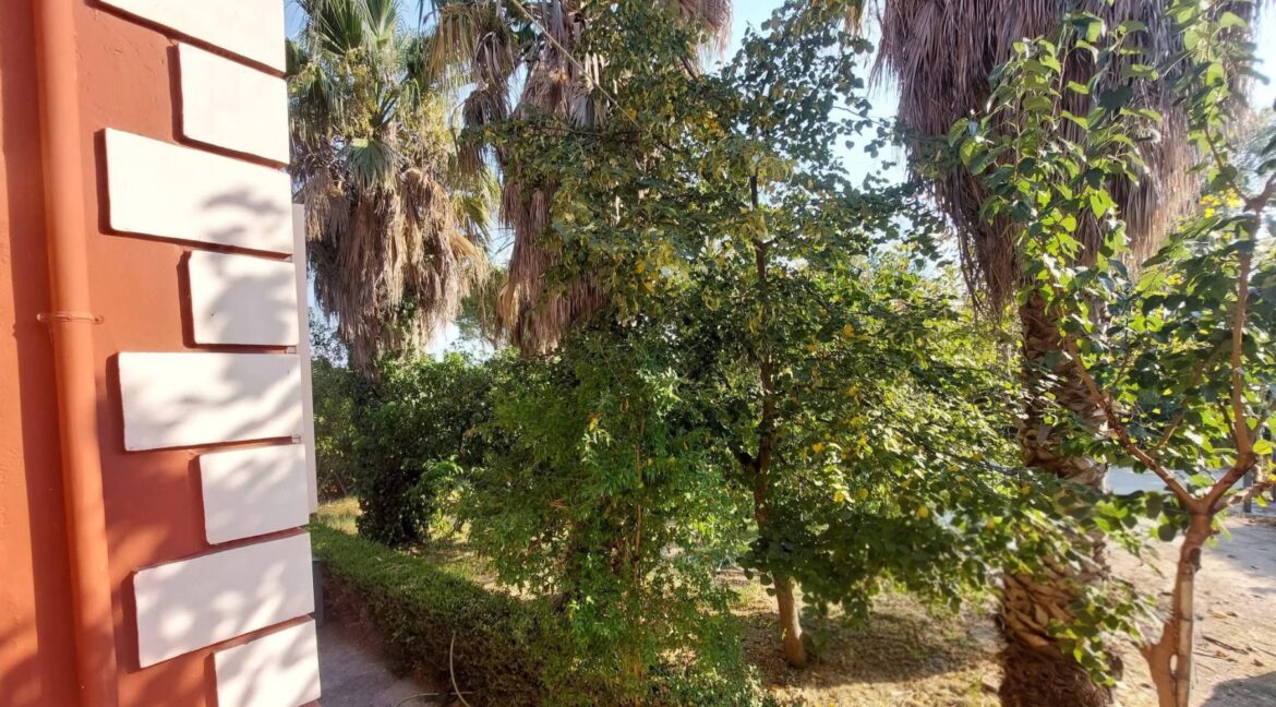 εικόνα_Viber_2026-08-23_19-49-47-662