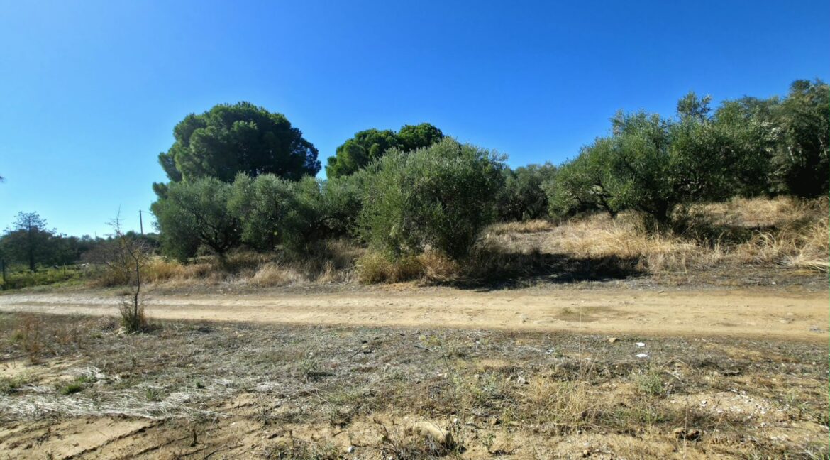 εικόνα_Viber_2026-10-20_13-02-44-671