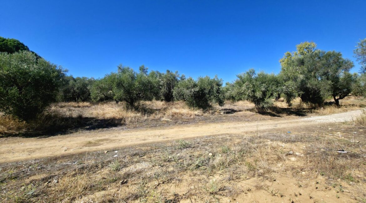 εικόνα_Viber_2026-10-20_13-02-55-065