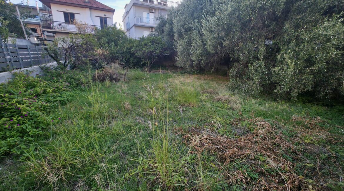 εικόνα_Viber_2026-10-26_11-11-46-333