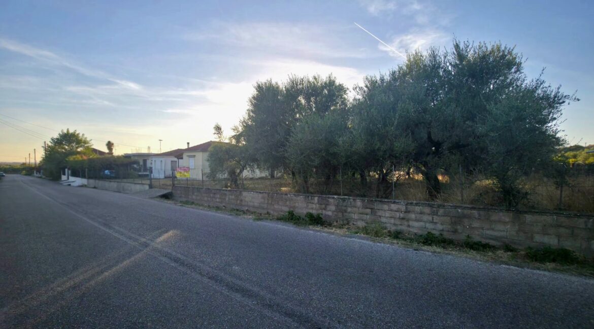 εικόνα_Viber_2026-10-26_11-14-01-890